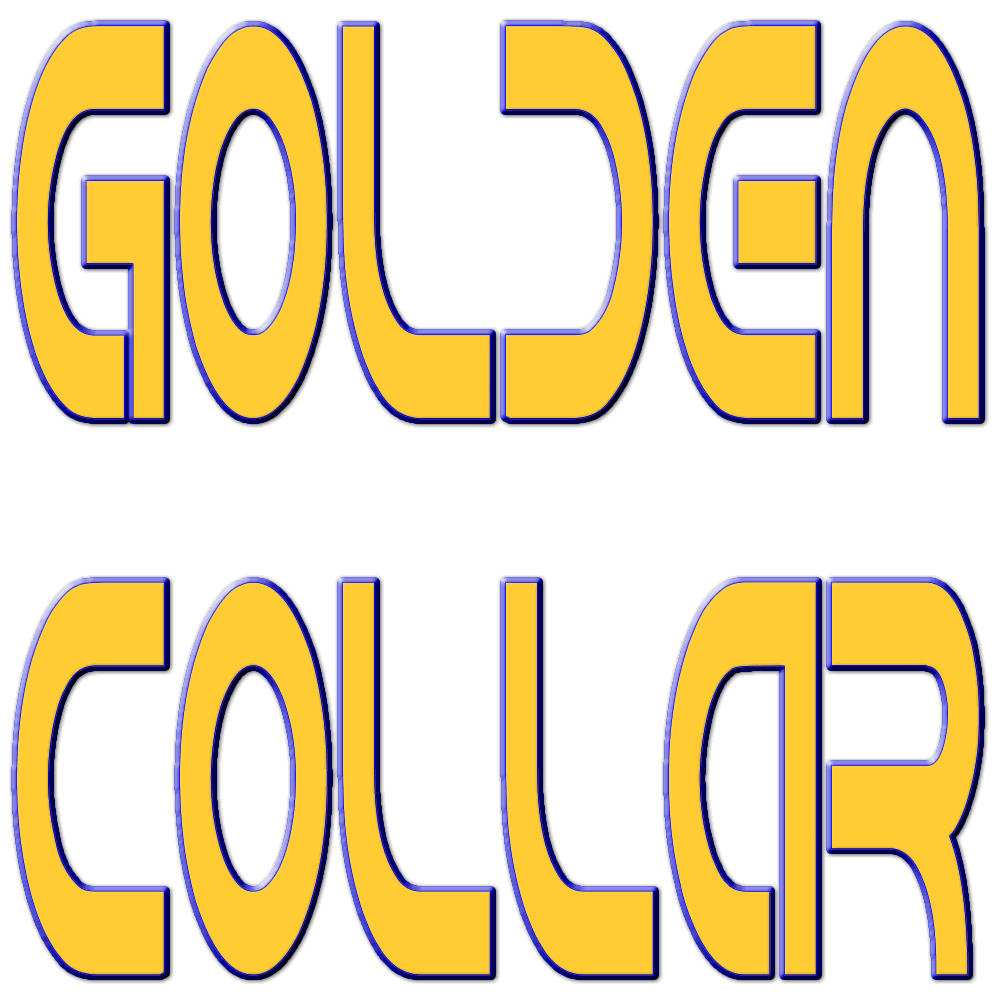 GC-LOGO Amacımız, Vizyonumuz, Misyonumuz ve Felsefemiz Ne?