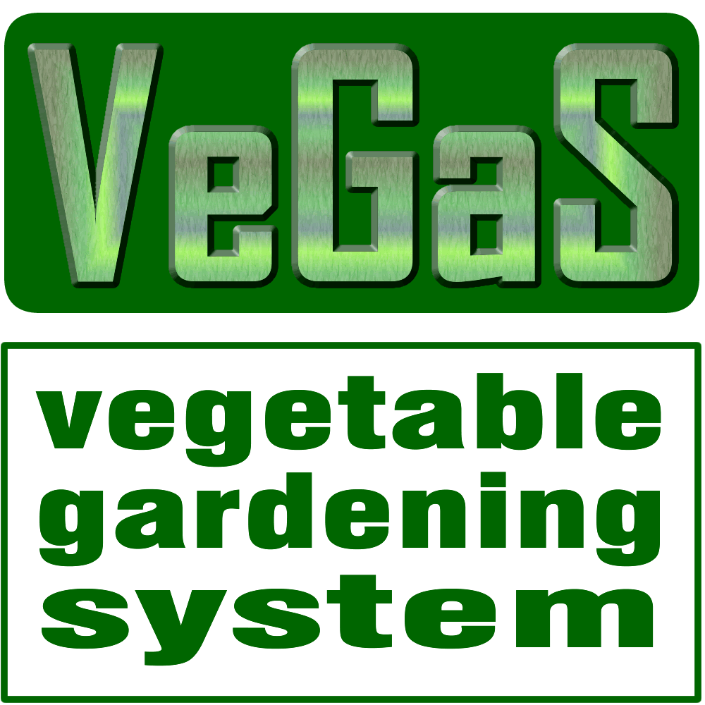 vegas-logo-2 Amacımız, Vizyonumuz, Misyonumuz ve Felsefemiz Ne?